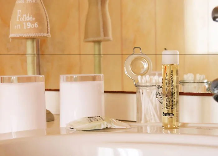 Relais De La Ganache 3* Saint-Astier